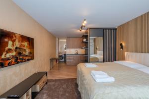 a hotel room with a large bed and a bathroom at Mama Boutique Apartment in Krušetnica