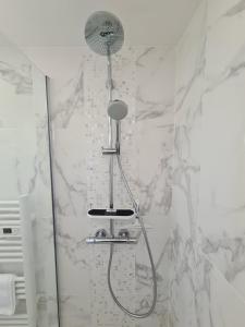 a shower with a shower head in a bathroom at La Dive Ligérienne - Gîte 2 chambres in Bourgueil +14 photos