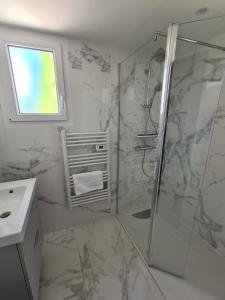 a bathroom with a shower and a sink at La Dive Ligérienne - Gîte 2 chambres in Bourgueil