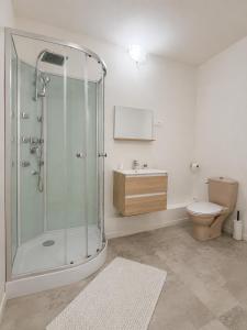 a bathroom with a shower and a toilet and a sink at Hôtel JurJura in Dole +19 photos