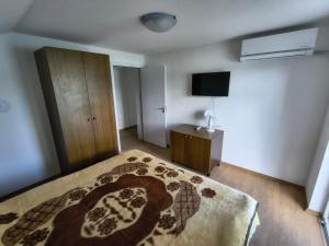 a bedroom with a bed and a television in it at Villa Nena Apartment in Mavrovi Anovi
