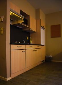 Kuchyň nebo kuchyňský kout v ubytování Ambassador Suites Antwerp