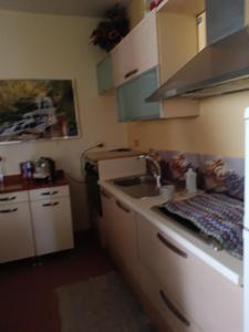 a kitchen with a sink and a counter top at VILLA flora e Riccardo in Fara San Martino