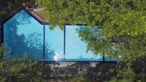 an overhead view of a swimming pool with trees at Serenity Wellness in Kuruwita +25 photos