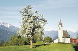 Fotografia z galérie ubytovania Haus Lukas v destinácii Seefeld in Tirol
