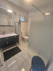 a bathroom with a sink and a toilet and a mirror at L'Ostal De Papi in Saint-Affrique