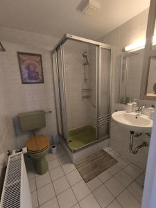 a bathroom with a shower and a toilet and a sink at Casa LuVilla in Braunlage +13 photos