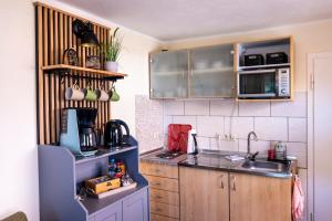 a kitchen with a sink and a microwave at Ferienwohnungen Villa Lütt in Bleckede