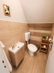 a small bathroom with a toilet and a sink at Pákász Nyaralóház in Tiszafüred +14 photos