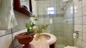 a bathroom with a potted plant sitting on a sink at Quarto Alecrim in Ibicoara