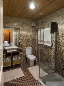 a bathroom with a toilet and a sink and a shower at Arbegain Etxea in Aizarna