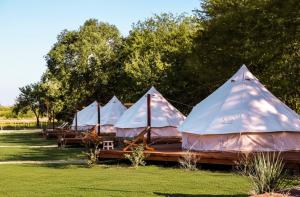 a group of four tents in a field at Terranova Glamping in Luján