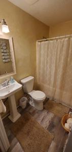 a bathroom with a toilet and a sink and a shower at Charming Country Cottage in Murfreesboro +9 photos