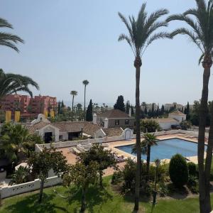 a view of a swimming pool with palm trees at Room in Estepona