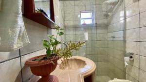 a bathroom with a potted plant sitting on a sink at Quarto Manjericão in Ibicoara