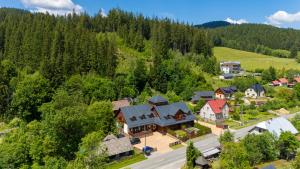 an aerial view of a large house in a forest at Apartmány Jezerné in Velké Karlovice