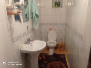 a small bathroom with a toilet and a sink at Izat in Karakol