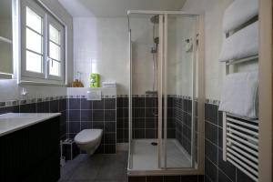 a bathroom with a shower and a toilet and a sink at Lo Berge in Saint-Pée-sur-Nivelle