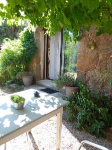 a table sitting under a tree in a garden at L'Ancienne Ecole in Silhac