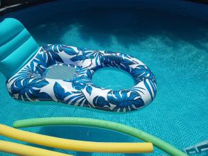 a swimming ring is sitting in the water at Suits hotel boutique in Nuevo Casas Grandes