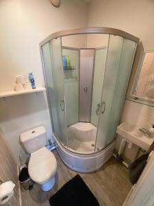 a bathroom with a shower and a toilet and a sink at Pāvilostas Piparmētras in Pāvilosta