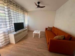 a living room with a couch and a flat screen tv at Appartement 61 in La Ciotat +4 photos