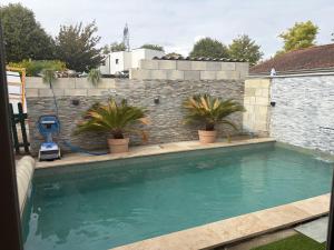 a swimming pool with two plants in front of a brick wall at Evasion Suite parentale in La Couronne +2 photos