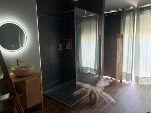 a bathroom with a shower with a sink and a mirror at Evasion Suite parentale in La Couronne