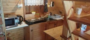 a kitchen with a microwave and a sink in a cabin at Zofiówka las in Zofiówka +7 photos