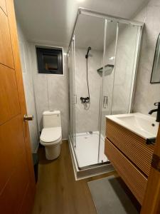 a bathroom with a shower and a toilet and a sink at Onix in Las Trancas