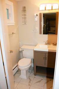a bathroom with a toilet and a sink at Scenic Vista Inn in North Conway