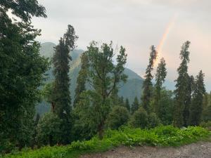 a rainbow in the middle of a forest with trees at The Jasmine House - Ayubia in Ayubia