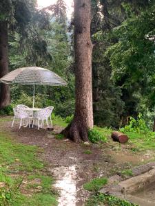 a table and an umbrella next to a tree at The Jasmine House - Ayubia in Ayubia +1 photo