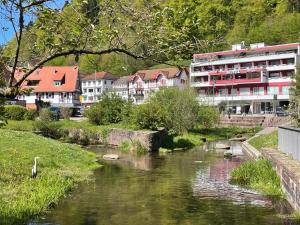 a river in a town with houses and a building at Hotel Harzer am Kurpark in Bad Herrenalb