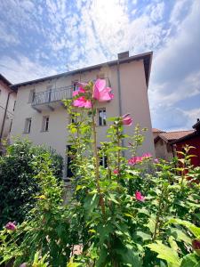 a building with pink flowers in front of it at Olcium Holiday Rooms in Mandello del Lario