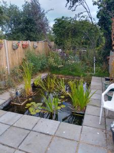 a backyard with a koi pond and a fence at Nature and beach in Lowestoft
