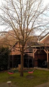 Gallery image of Ferienwohnung Lütte Kerk in Bargfeld