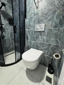 a bathroom with a toilet and a shower at Dream Hotel in Trabzon