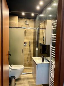 a bathroom with a toilet and a sink and a shower at Boho House Florina in Florina