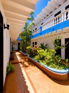 a courtyard of a building with plants and trees at Renta Mar in Barranquilla +25 photos