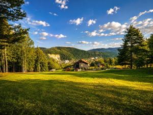 a green field with a house in the distance at Vista Guest House in Yaremche