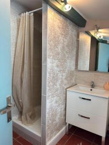 a bathroom with a shower with a sink and a mirror at La chambre de Joséphine in Royan
