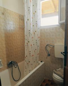 a bathroom with a shower curtain and a toilet at Eftichia Apartment in Roda