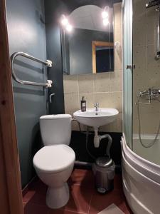 a bathroom with a toilet and a sink at Aluksne city nest in Alūksne