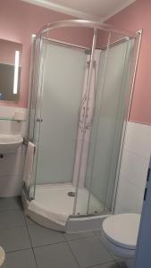 a glass shower in a bathroom with a toilet at Hotel Zachskorn in Erdweg