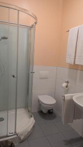 a bathroom with a shower and a toilet and a sink at Hotel Zachskorn in Erdweg
