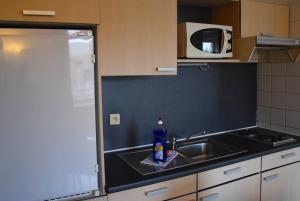 Kuchyň nebo kuchyňský kout v ubytování Ambassador Suites Antwerp