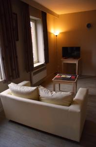 TV a/nebo společenská místnost v ubytování Ambassador Suites Antwerp
