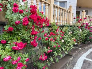 a bunch of red roses on the side of a house at Sevanavanq Inn Hotel in Sevan