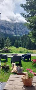 a picnic table in the grass with a view of a mountain at chambre pour 2 à 4 personnes ,balcon in Mont-Saxonnex